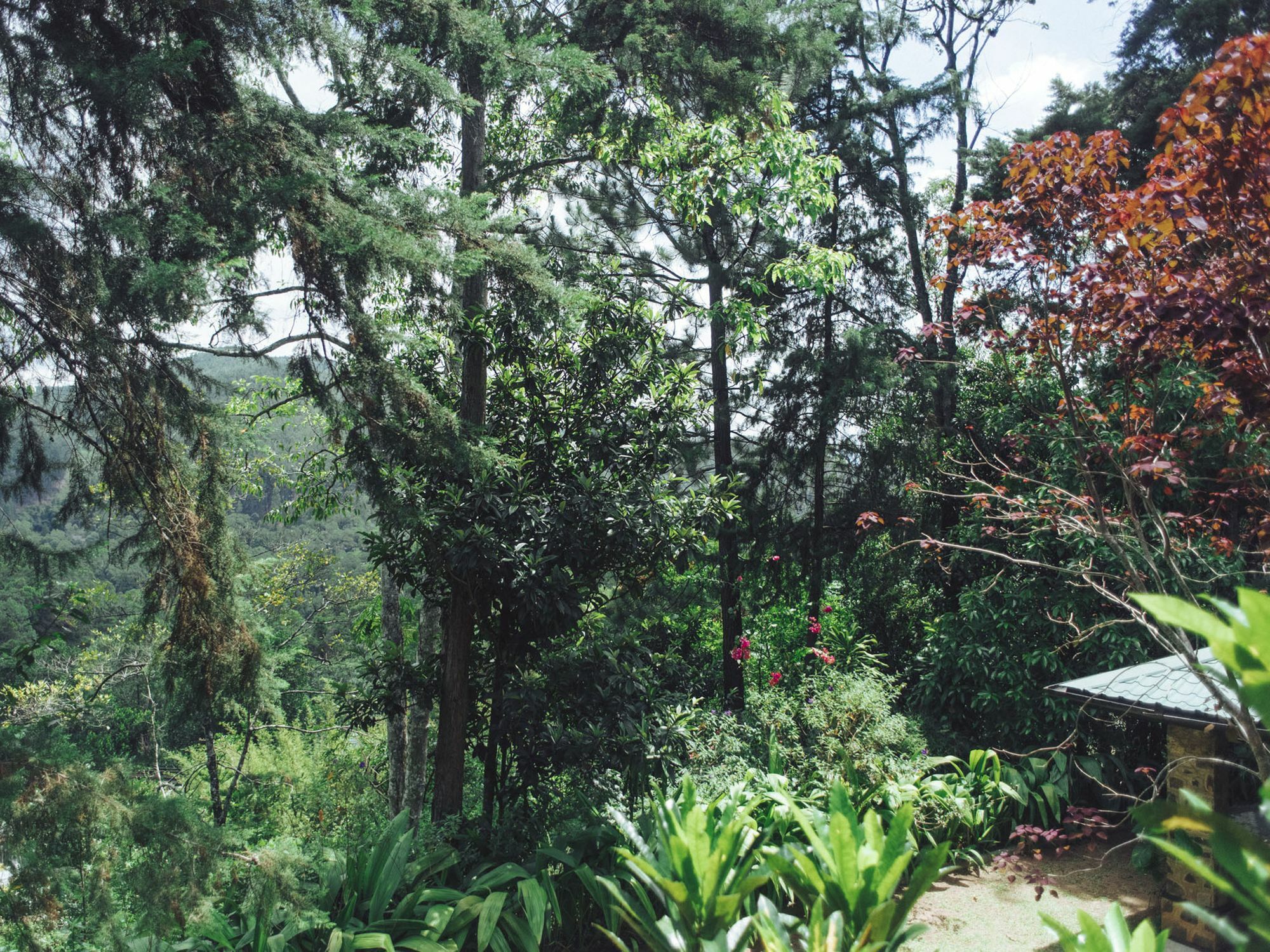 Villa Republic Bandarawela Exterior foto